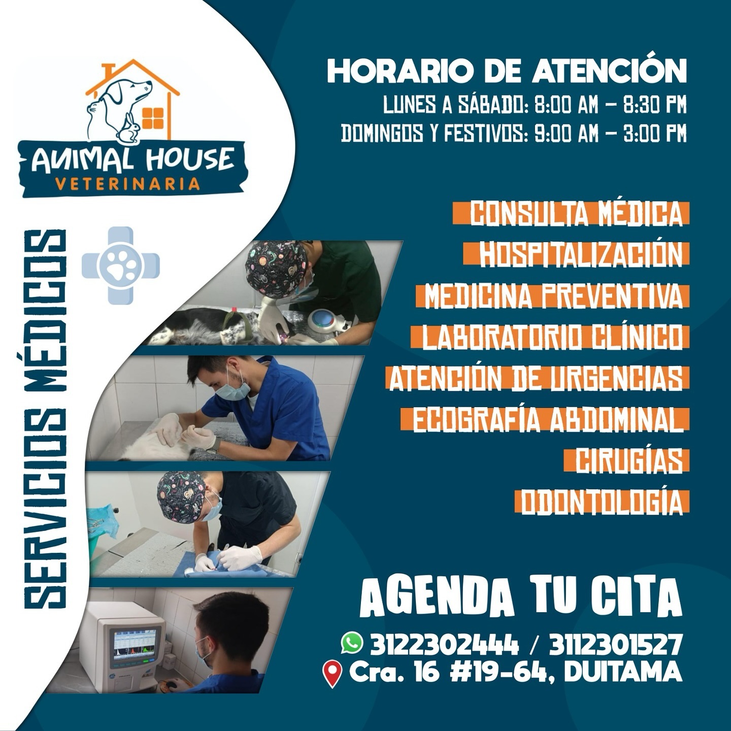 Servicios médicos veterinarios